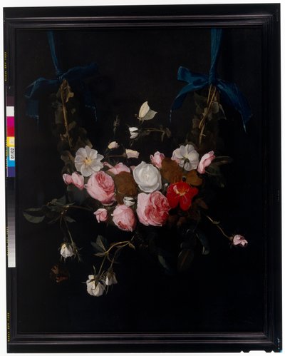 Swags of Roses, Tulips, Daffodils and Other Flowers Suspended from Blue Ribbons by Daniel Seghers