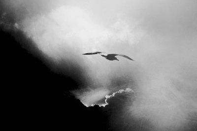 Dramatic Sky Flight by Daniela Riegler