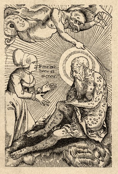 Leprosy, front cover of Spedalskhed, published Denmark by Danish School