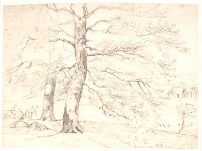 View Over a Landscape, in the Foreground Large Beech Trees by Dankvart Dreyer