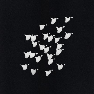Abstract Bird Flight by Danushka Abeygoda