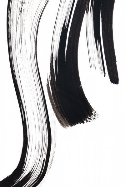 Fluid Ink Strokes by Danushka Abeygoda