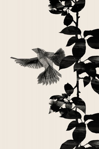 Flying Bird Silhouette by Danushka Abeygoda