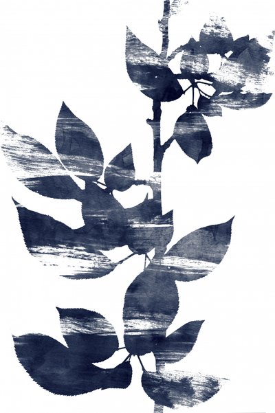 Serene Indigo Botanicals by Danushka Abeygoda