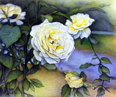 Alberta Roses In Bloom, 2018 by Darrell Windjack