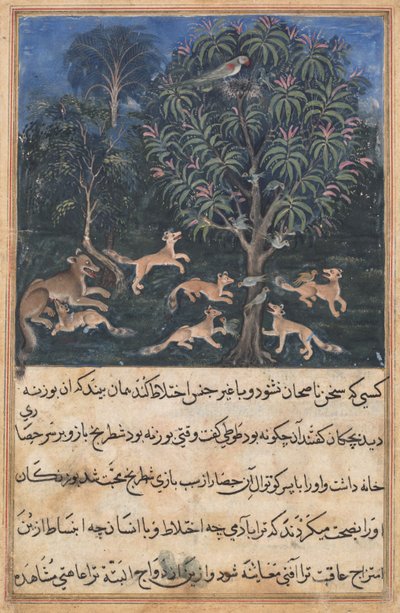 Page from Tales of a Parrot Tuti-nama: Fifth night: The parrot mother cautions by Daswanth