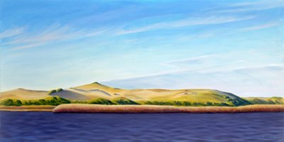 Entering the Provincelands by David Arsenault