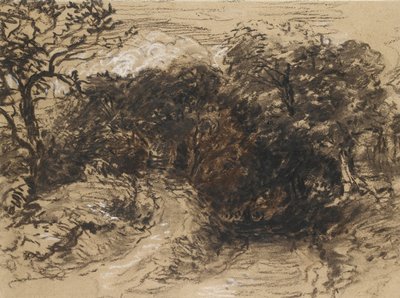 A Hollow Lane near Harborne, Derbyshire by David Cox