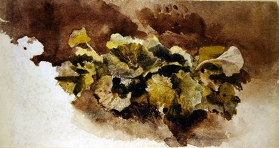 Dock Leaves by David Cox