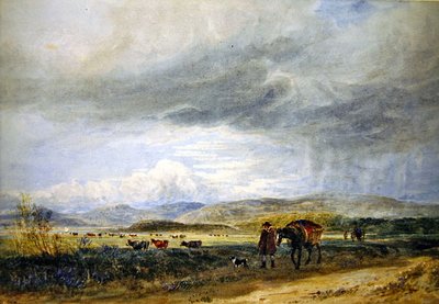 Llugwy Meadows by David Cox