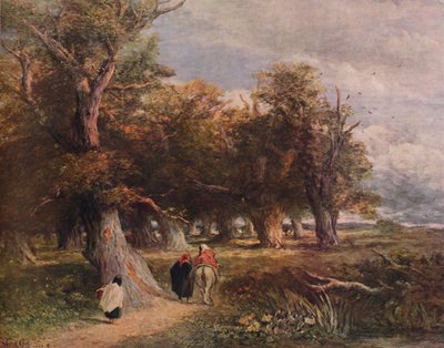 The Skirts of the Forest by David Cox the elder