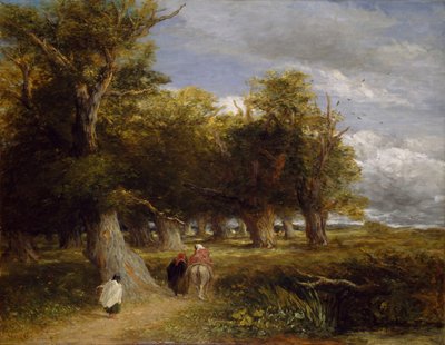The Skirts of the Forest by David Cox the elder