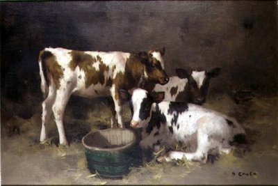 Three Calves by David Gauld