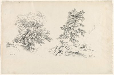 Chestnut and Pine by David Johnson