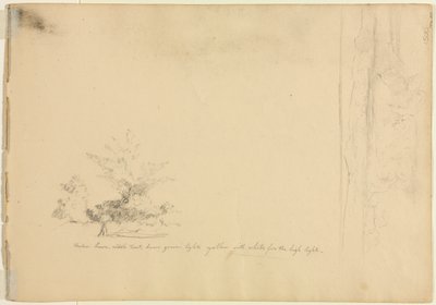 Landscape and Tree Studies, c. 1851 by David Johnson