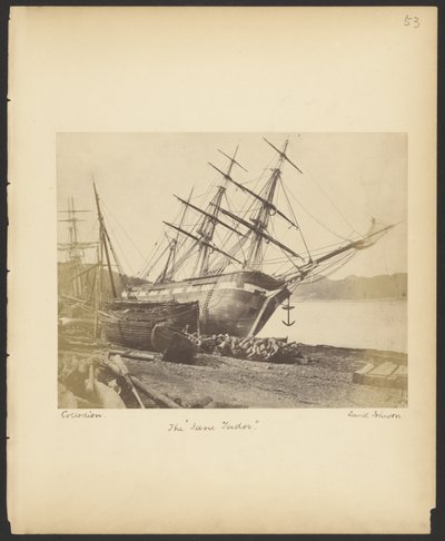 The Jane Tudor by David Johnson