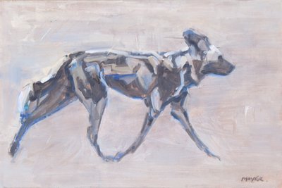 African Painted Dog by David Mayer