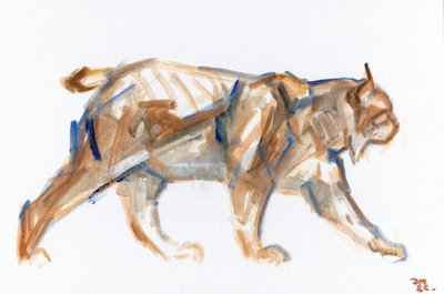 Lynx by David Mayer