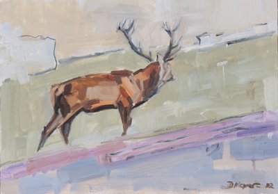 Red Deer Stag 2022 by David Mayer
