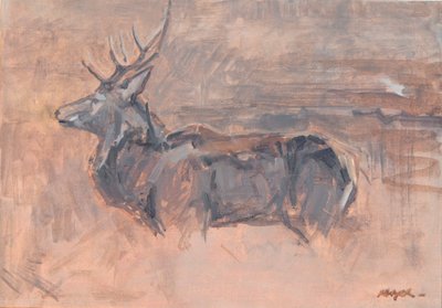 Red Deer Stag, 2023 by David Mayer