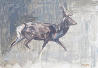 Red Deer Stag Running, 2023 by David Mayer
