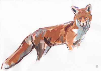 Red Fox by David Mayer