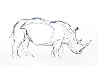 White Rhino, 2021 by David Mayer