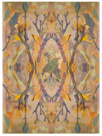 Starlings, 2016 by David McConochie