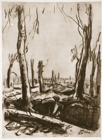 Ruined Trenches in Mametz Wood, Illustration from 