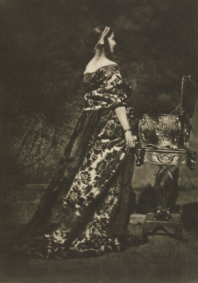 Portrait - The Gown and the Casket by David Octavius Hill