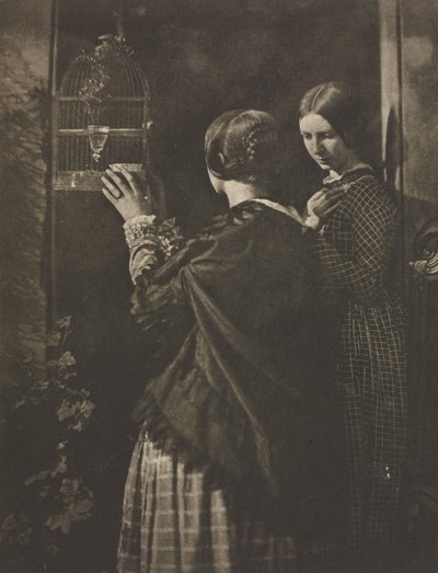 Camera Work: The Bird-Cage, 1909 by David Octavius Hill