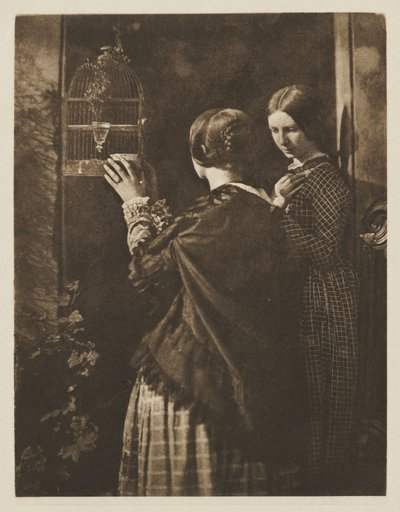 The Bird Cage by David Octavius Hill