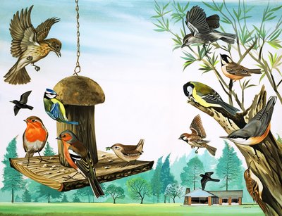 All Sorts of Birds Around the Garden Table, illustration from 