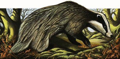 Mr and Mrs Badger at Home by David Pratt