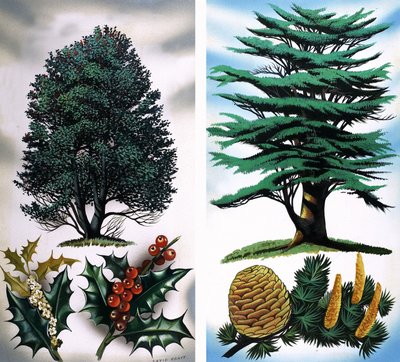 Trees You Can See: Holly Tree & Cedar by David Pratt