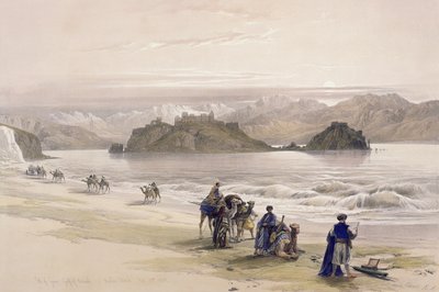 Isle of Graie, Gulf of Akabah, Arabia Petraea, February 27th 1839, plate 108 from Volume III of 