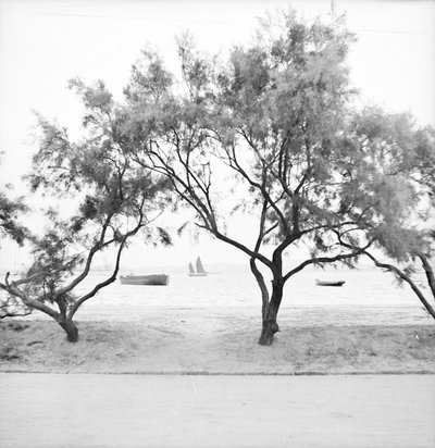 Looking seaward from the bund at Weihaiwei by David Watkin Waters