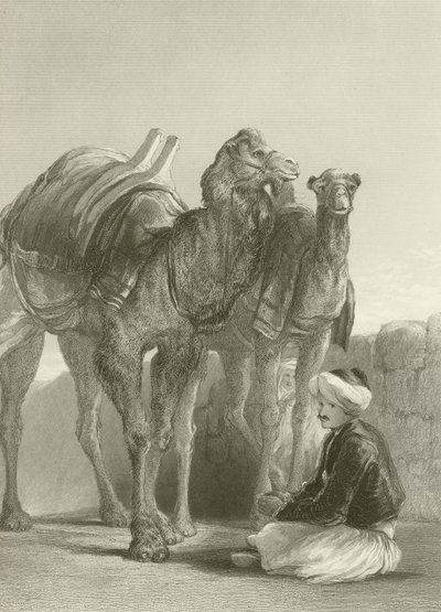 A Group of Camels at Smyrna by David Wilkie