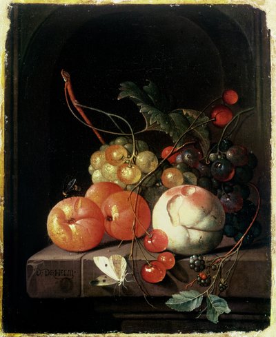 Still Life of Fruit by David de II Heem