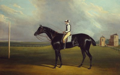 Mr R.O. Gascoigne
