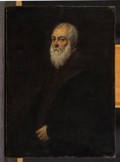 Portrait of a Bearded Man (after Jacopo Tintoretto) by David Teniers the Younger