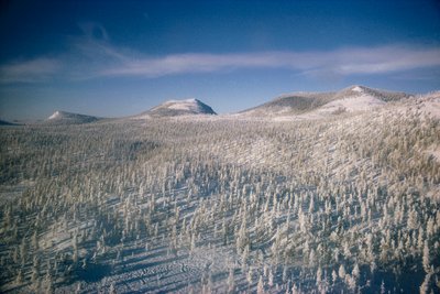 Siberia in winter landscape over marsh and forests covered in snow by Dean Conger