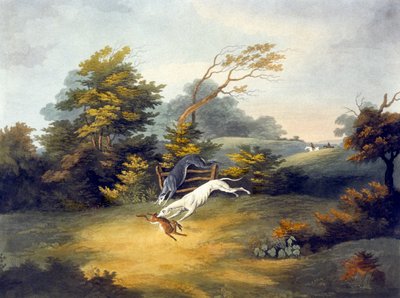 Coursing, plate 4, engraved by R.G. Reeve by Dean Snr. (after) Wolstenholme
