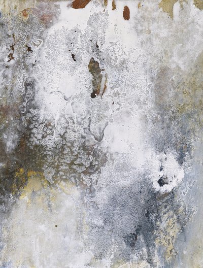 Aged Patina Canvas by Deb Chaney
