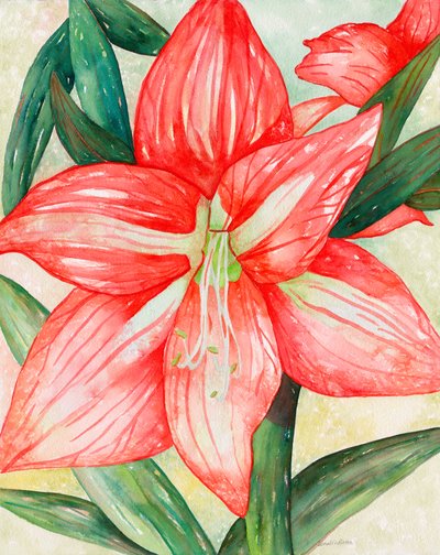 Amaryllis, 2005 by Deborah Eve Alastra