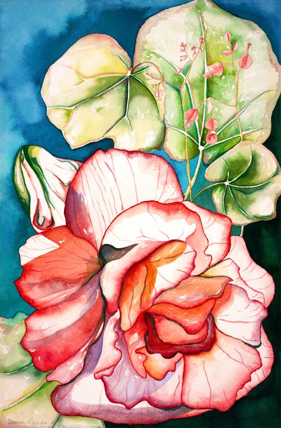 Begonia by Deborah Eve Alastra