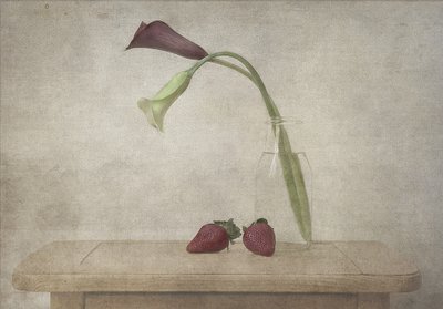 Calla Lilies and Strawberries by Deborah Gugeri