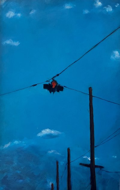 Stop Light by Deborah Stevenson