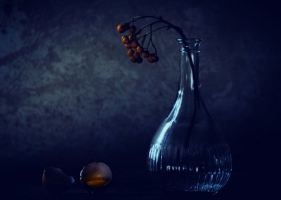 Broken Egg Still Life by Delphine Devos