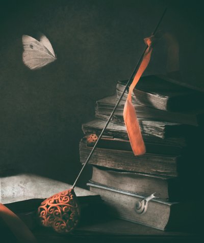 Dark Academia Butterfly by Delphine Devos